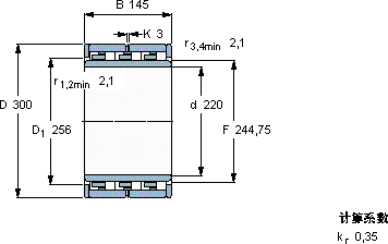 SKFNNU 6944 M軸承圖紙