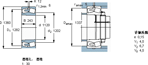 SKF248/1120 CAK30FA/W20軸承圖紙