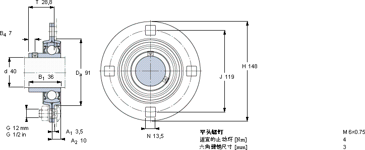 SKFPF 40 RM軸承圖紙