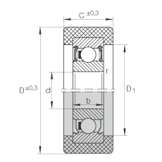 INA滾輪 KLRZ12X41X16-2RSR, 帶塑料箍，兩側密封