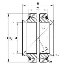 INA關(guān)節(jié)軸承 GE20-HO-2RS, 根據(jù) DIN ISO 12 240-1 標(biāo)準(zhǔn), 需維護(hù)，兩側(cè)唇密封