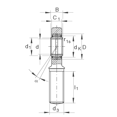 INA桿端軸承 GAR17-DO, 根據(jù) DIN ISO 12 240-4 標準，帶右旋外螺紋，需維護