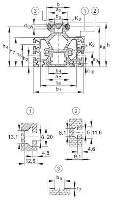 INA導軌 LFS52-M, 中空截面輪廓，帶安裝槽，帶兩根軌道軸；可提供耐腐蝕設(shè)計